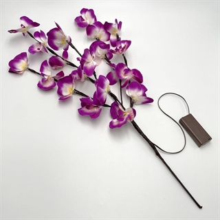 Lilla orkideer lampe