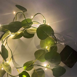 Solcelle lyskæde med eukalyptus blade