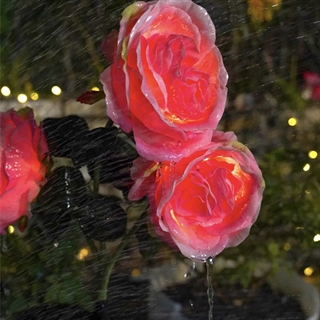 Solcellelampe med lyserøde roser