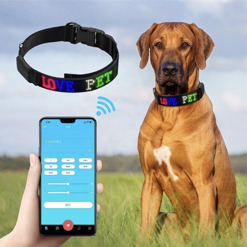 App-styret hundehalsbånd - LED din hund