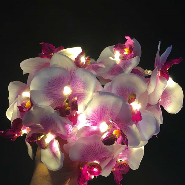 Batteridrevet lyskæde med orkideer - 20 lys