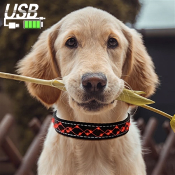 Broderi reb hundehalsbånd  med lys-rød