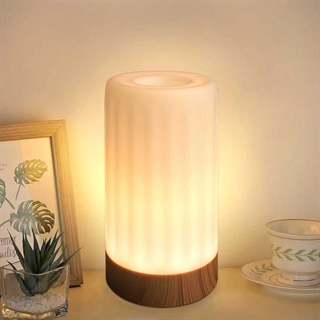 Genopladelig LED bordlampe med vase-funktion – 12 lysfarver, fjernbetjening og IP68 vandtæt