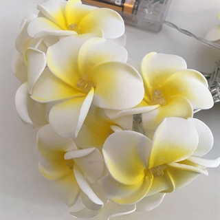 Frangipani lyskæde - 3 m