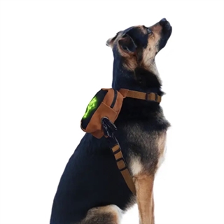 Hunde rygsæk med grønt lys