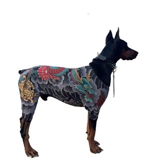 Hundedragt med tatoveringsprint