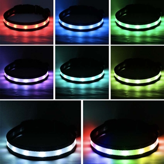 LED hundehalsbånd med multifarvet og blinkende lys