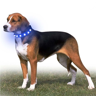 Hundehalsbånd med kunstige juveler med blåt  lys