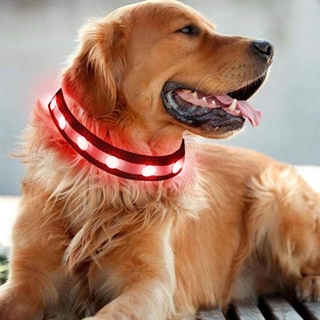 Hundehalsbånd med kunstige juveler med rødt lys