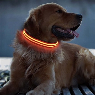 Hundehalsbånd med rødt lys