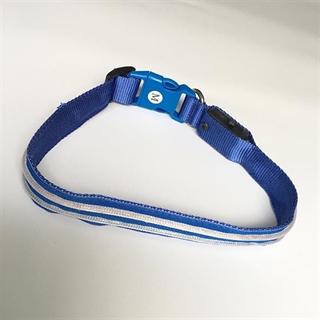 Blå hundehalsbånd med blåt lys - M