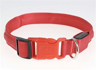 Rød hundehalsbånd med rødt lys - Size: S