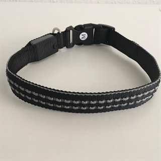 halsbånd med lys til hunde