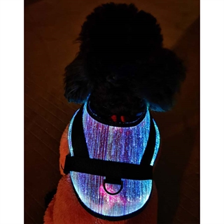 Hundesele med multifarvet lys