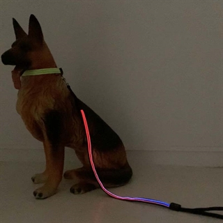 Hundesnor med Multifarvet lys