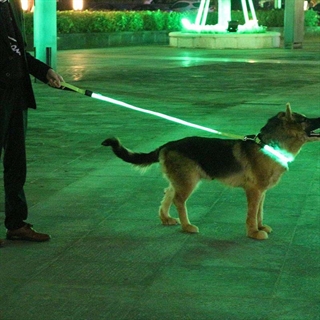 Hunde Halsbånd og hundesnor med lys