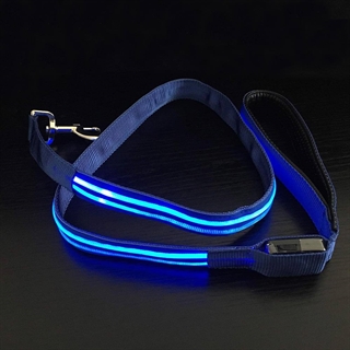 Hundesnor med blåtlys