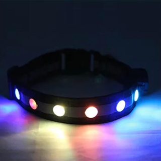 Hundehalsbånd med lys