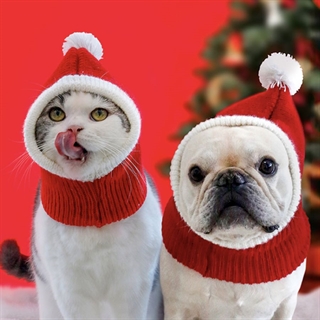Julehat til hunde eller katte 