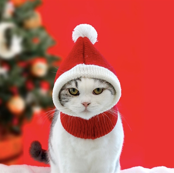 Julehat til hunde eller katte - Størrelse: S