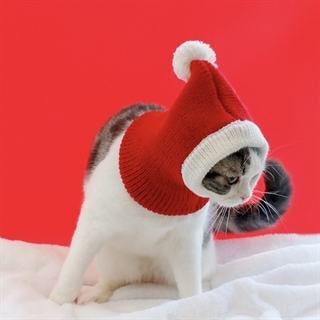 Julehat til hunde eller katte - Størrelse: S