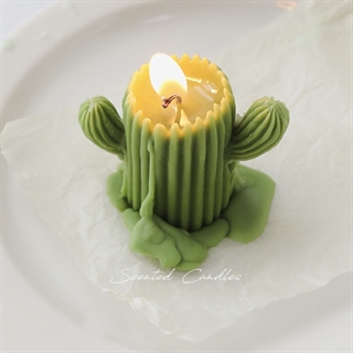 Kaktus fyrfadslys med duft - Grøn 