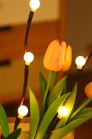 LED grenlampe med hvide kugler og varmhvidt lys