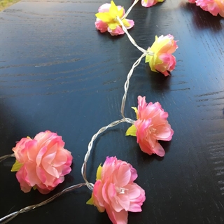 LED lyskæde med pink roser