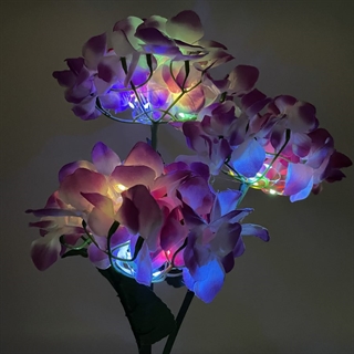 Solcelle LED hortensia blomst med multifarvet lys på spyd
