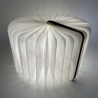 LED-boglampe med varmt hvidt  lys - Genopladelig - Størrelse: L: 21,5 cm, B:17 cm - Omslagsfarve: rød