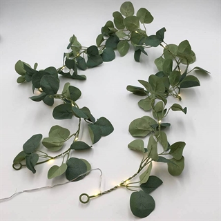 Lyskæde med eukalyptus blade