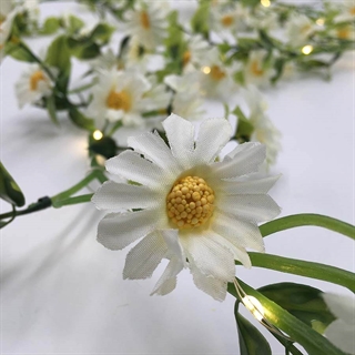 Lyskæde med margueritblomster-hvide blomster