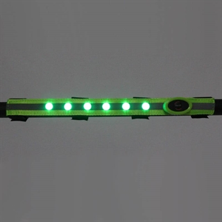 LED pandebånd til heste - grønt lys