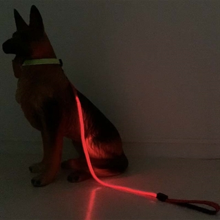 Rød hundesnor med rødt lys