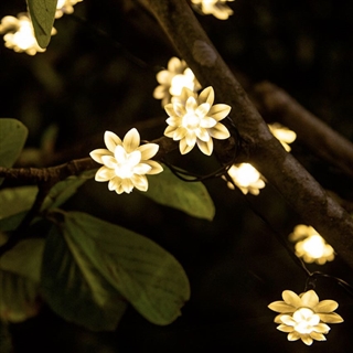 Solcelle lyskæde med lotus blomster - Varmt hvidt lys - 6,5 m 30 lys 