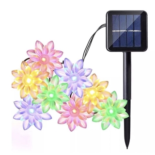 Solcelle lyskæde med lotus blomster - Multifarvet lys  - 6,5 m 30 lys 
