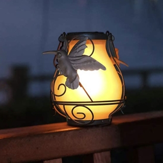 Solcelle flamme lanterne med kolibrier