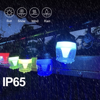 App styret udendørs lyskæde med 14 pærer -  Multifarvede lys